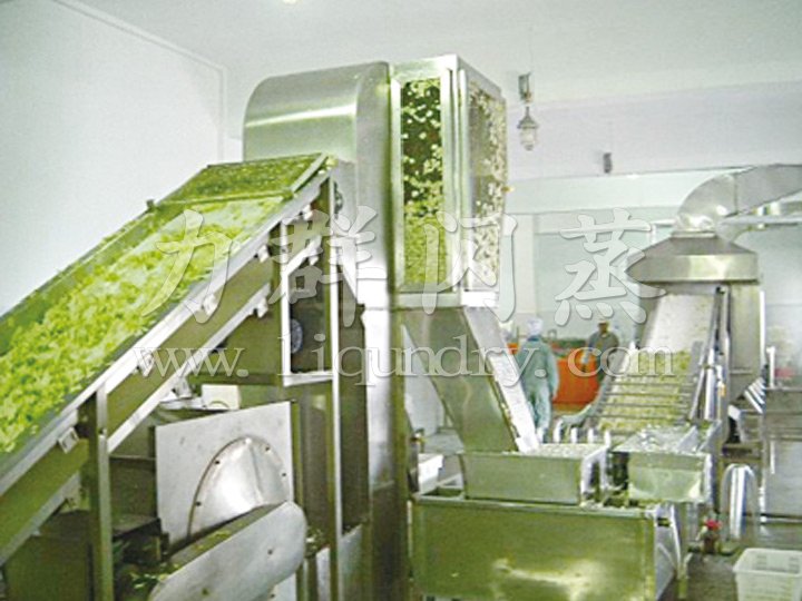 DWC系列脱水蔬菜带式干燥机